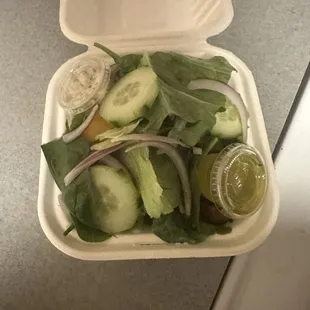 This was the Italian salad. Three cucumbers. 5 shards of onions. One little tomato and tiny salad dressings.