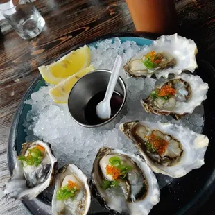Oysters