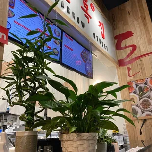 It may be in the back of the market eatery, but it's too good to pass up!