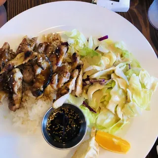 2216284. Chicken Teriyaki Dinner