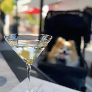Vesper, top shelf | $14 (dog-friendly patio+parklet)