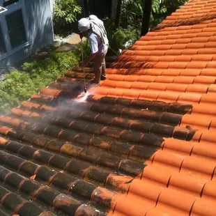 Roof Cleaning