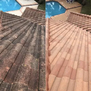 Roof soft washing