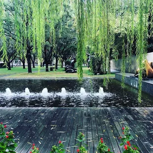 a fountain in a park