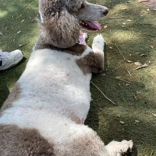 Resting after exercise