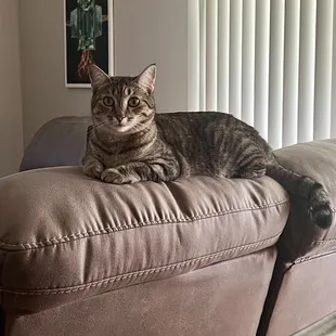 Sage, our baby girl!