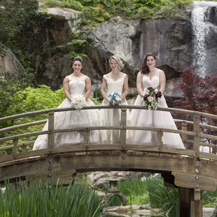 Bridal Portraits