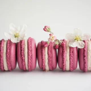 Cherry French Macaron