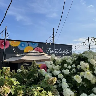 Patio in summer at Natalie's