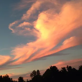 Sunset over the vineyard