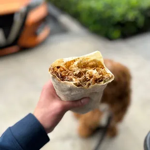Spicy Steak Burrito