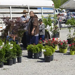 It is planting  season