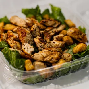 Caesar Salad with Freshly Grilled Chicken