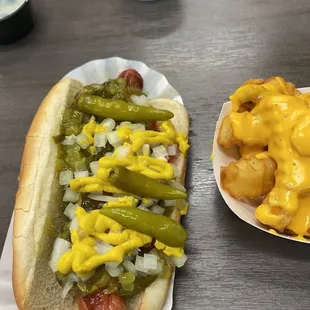 Chicago Dog