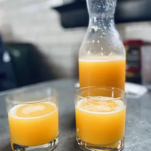 Mimosa pitcher