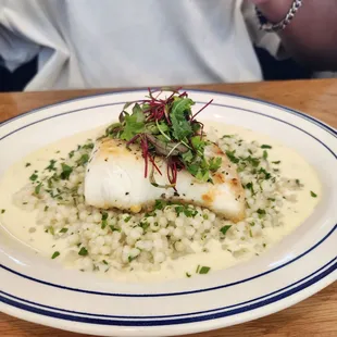 Halibut and couscous