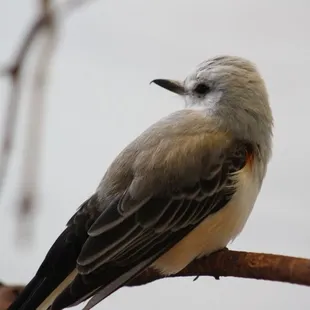 July 4, 2022 - National  Aviary, Pittsburgh, PA