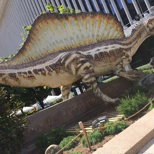 Nice exhibit outside!