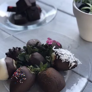 Chocolate covered strawberries for Valentine's Day!