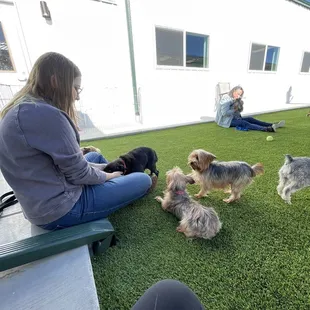 Just touched ground outside for the first time!  So cute!