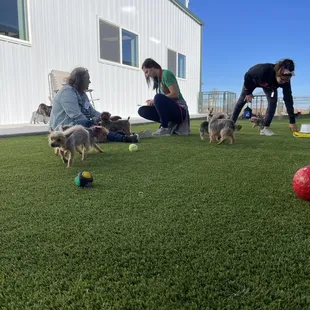 Just running around enjoying life.