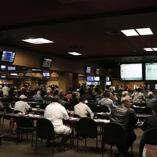 Horse Racing Off Track Betting