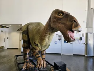 The Dinosaur Company