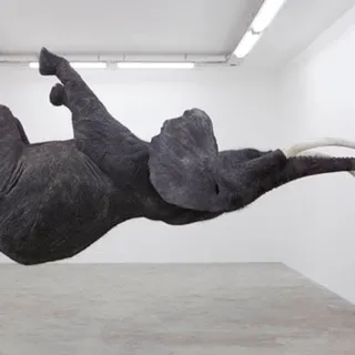 Charmaine T.