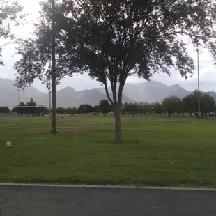 Mountains in the distance