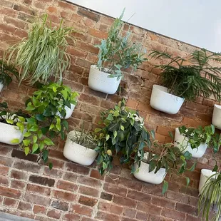 Instagram wall, for sure!