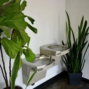 Fountain outside the bathroom