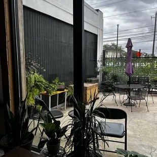 Tucked away coffee shop, outdoor seating, bring the pups!