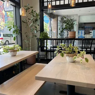 tables and benches in a restaurant