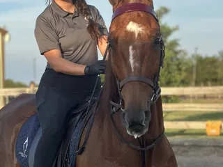 Laurel Ridge Stables