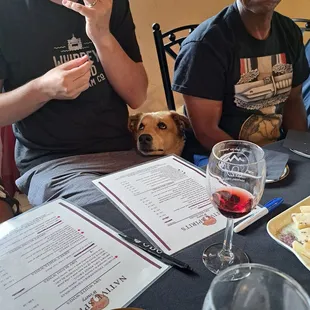 two men and a dog sitting at a table