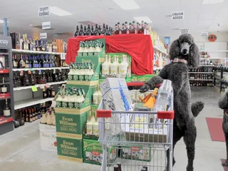 Joe's Wine & Spirits