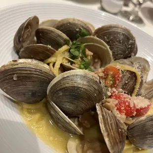 Clam pasta! So good.