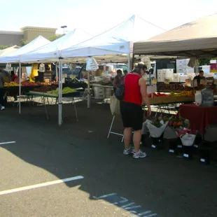 a large group of people