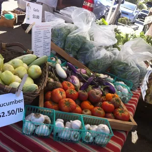 Feeding Crane Farms, looking good!