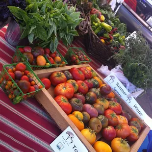 Feeding Crane Farms, looking good!