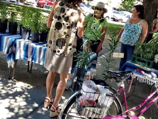 Certified California Grown Farmers Market