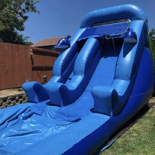 Dolphin Waterslide | Water Slide Rentals in Natomas | Natomas Jumpers