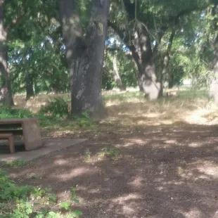 One of several picnic tables along trail