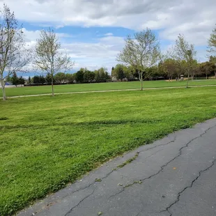 Natomas Rose Garden