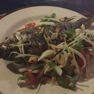 Fish in the Herb Garden