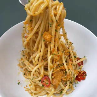 Bucatini ($36)