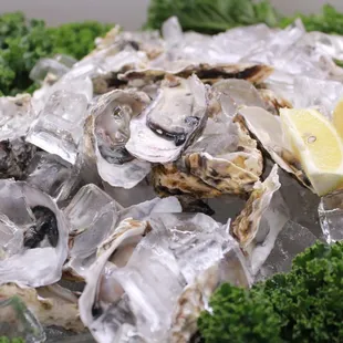 food, oysters and mussels, mussels, shellfish, oysters