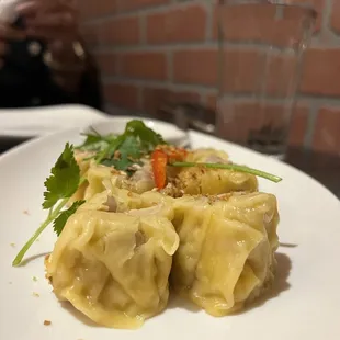 two dumplings on a white plate