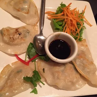 Chicken Dumplings