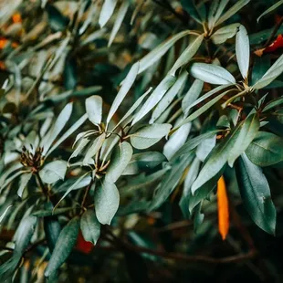 Outdoor landscape is beautiful!